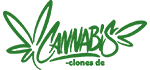 cannabis-clones.de stecklinge kaufen